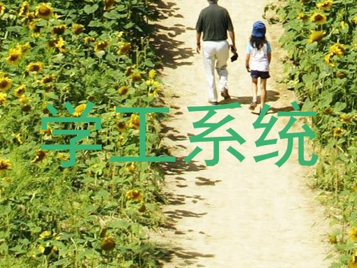 学工系统