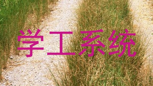 学工系统