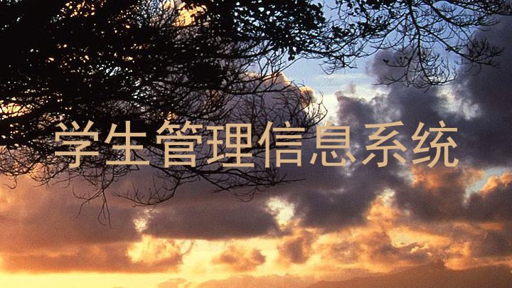 学生管理信息系统