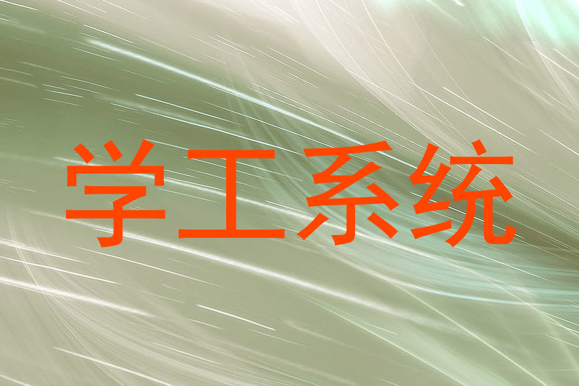 学工系统