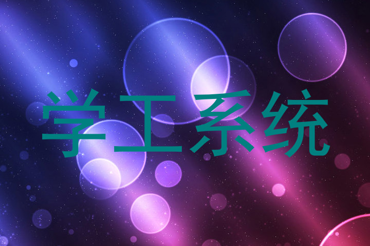 学工系统