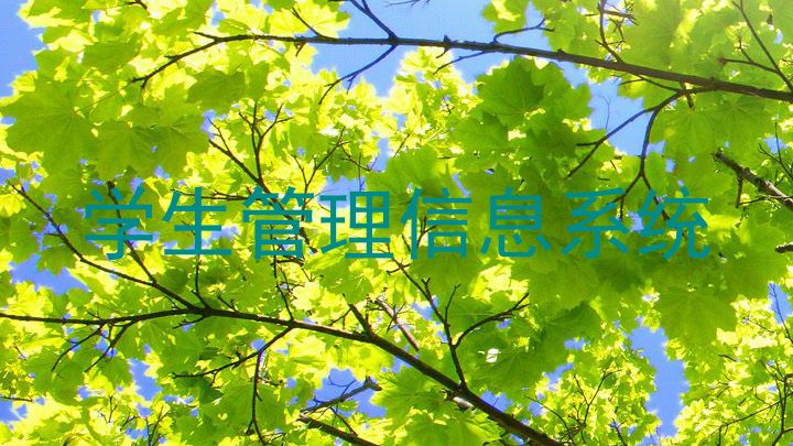 学生管理信息系统