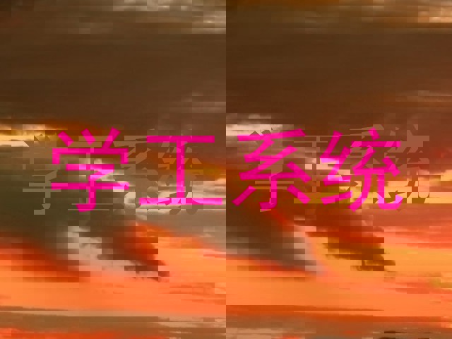 学工系统