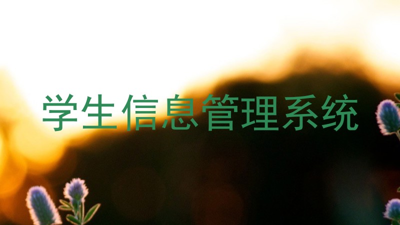 学生信息管理系统