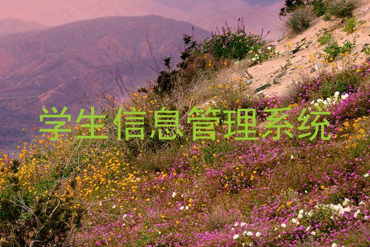 学生信息管理系统