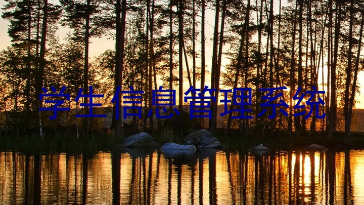 学生信息管理系统