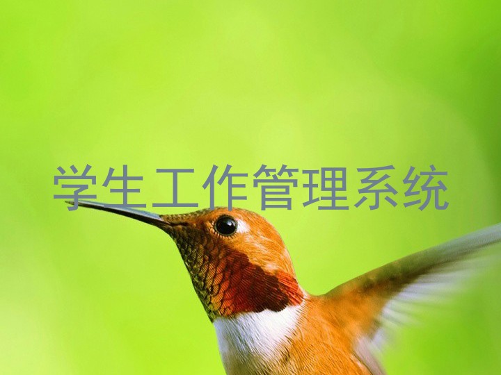 学生工作管理系统