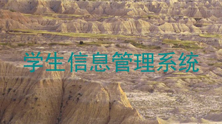 学生信息管理系统