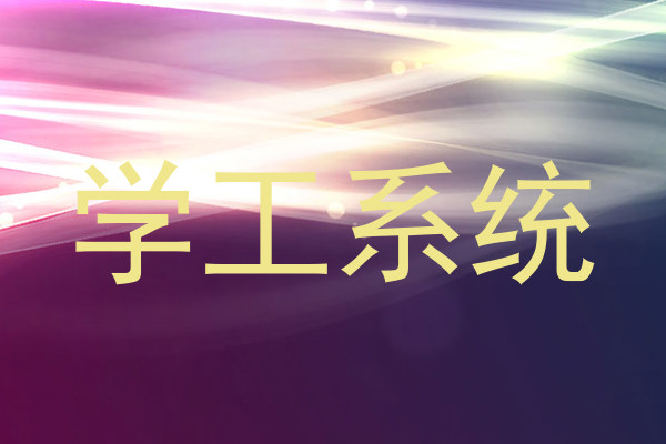 学工系统