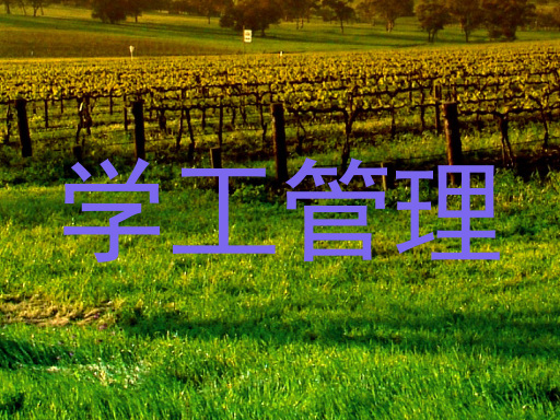 学工管理