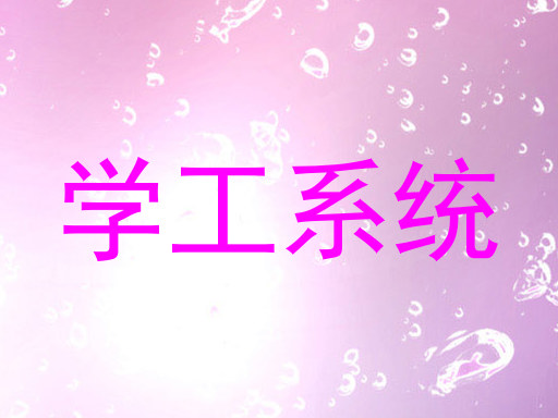 学工系统