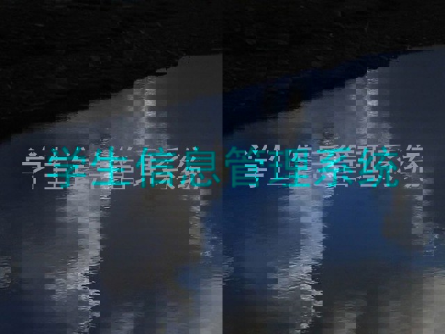 学生信息管理系统