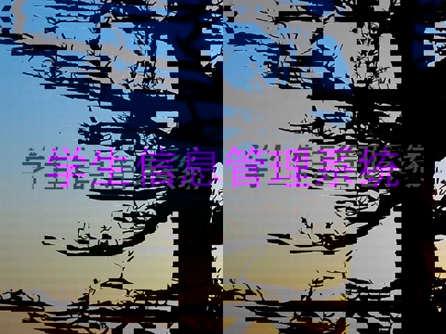 学生信息管理系统