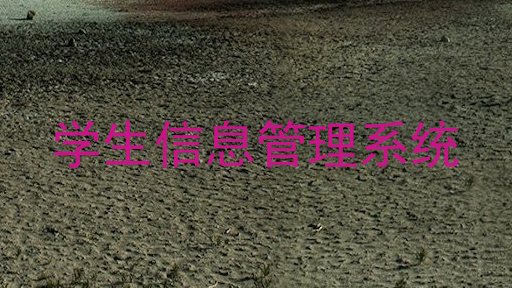 学生信息管理系统