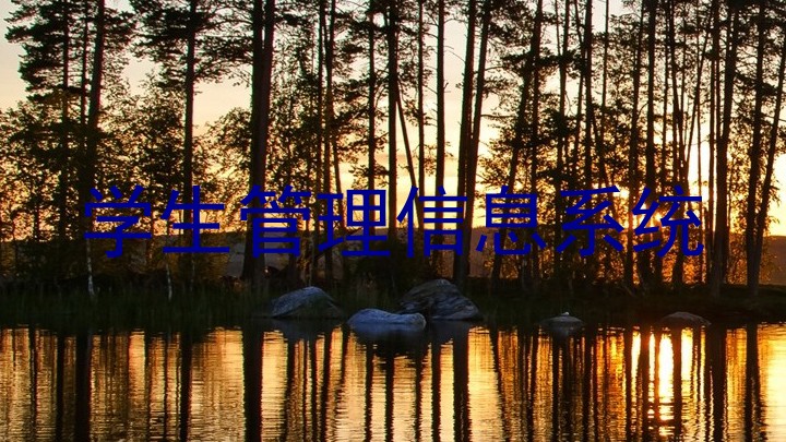 学生管理信息系统