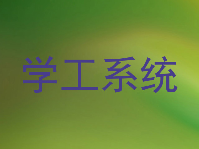 学工系统