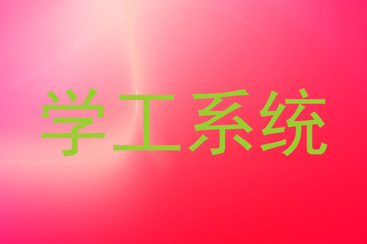 学工系统