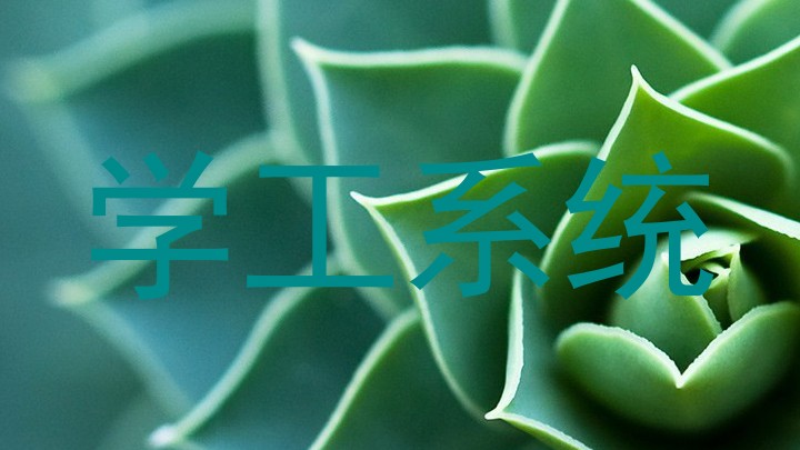 学工系统