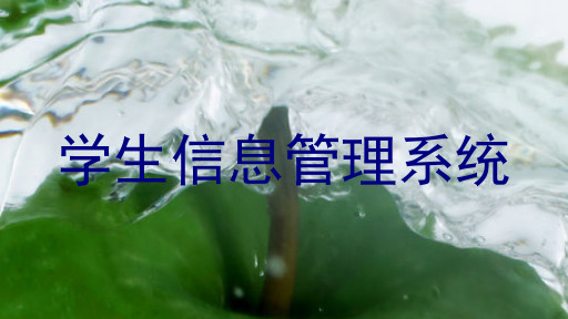 学生信息管理系统