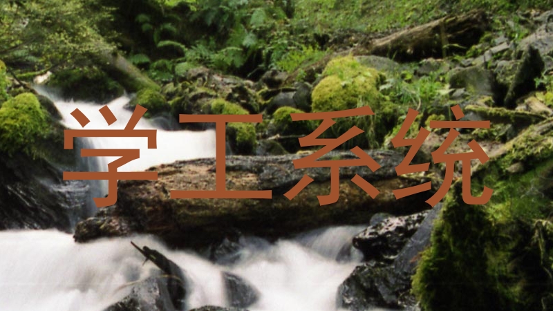 学工系统