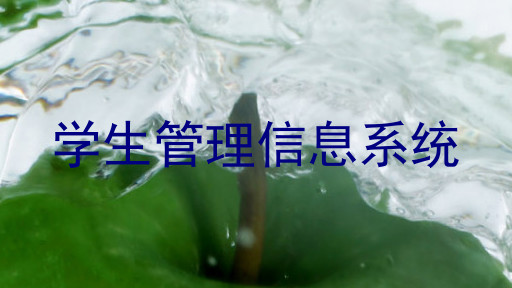 学生管理信息系统