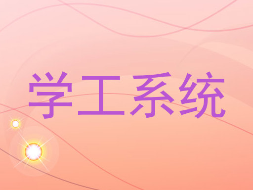 学工系统