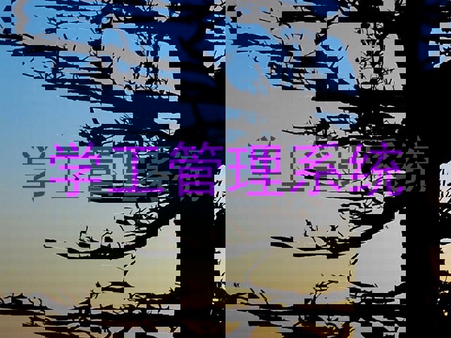 学工管理系统