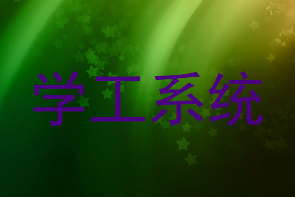 学工系统