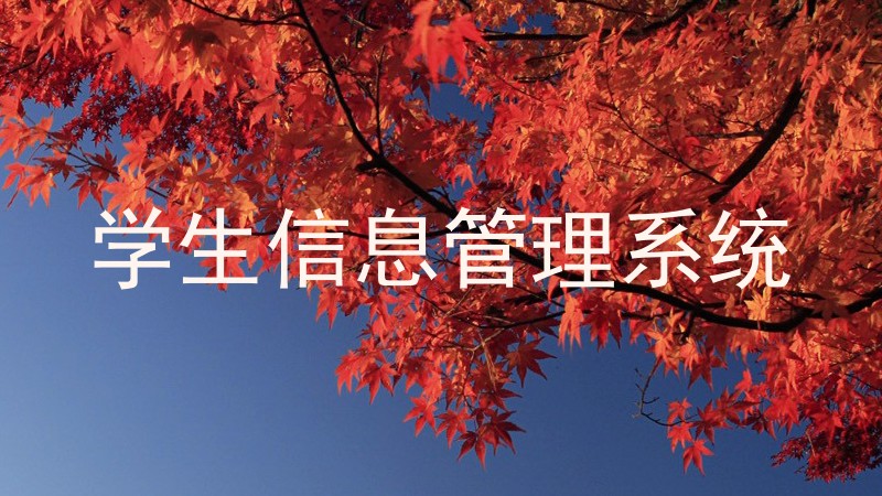 学生信息管理系统