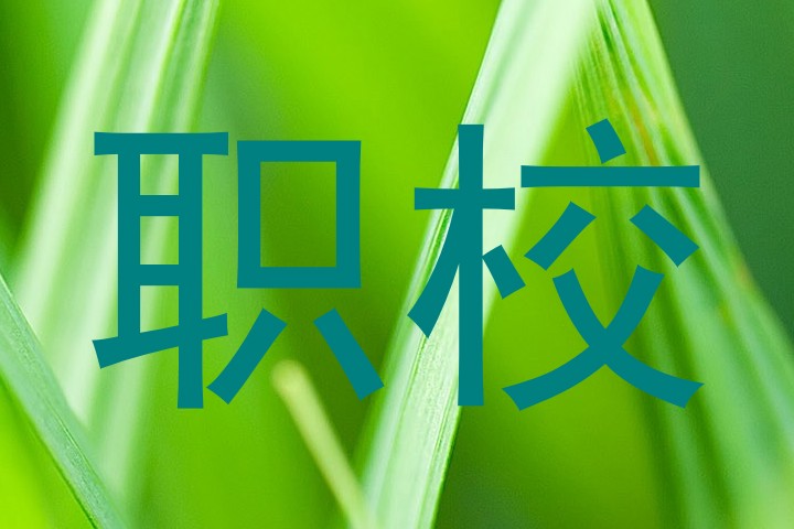 职校