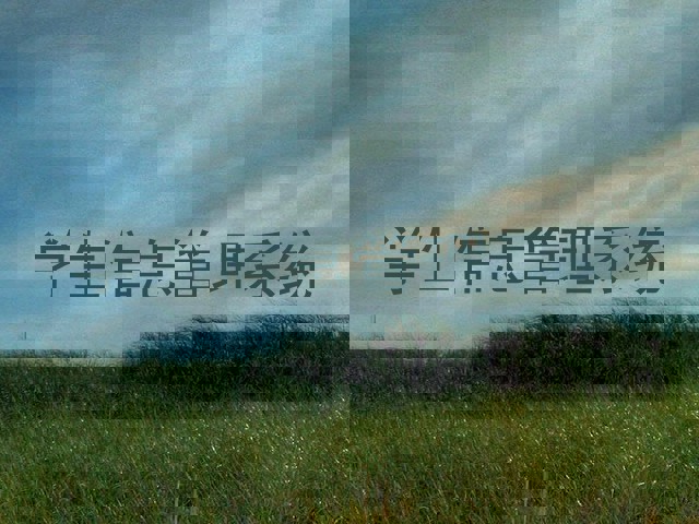 学生信息管理系统