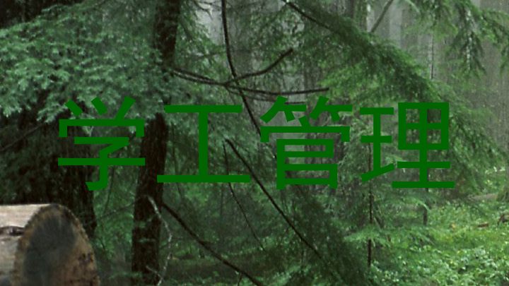 学工管理