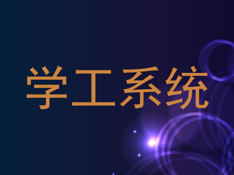 学工系统