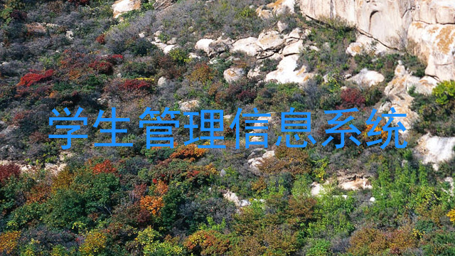 学生管理信息系统