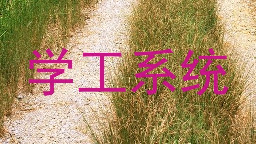学工系统