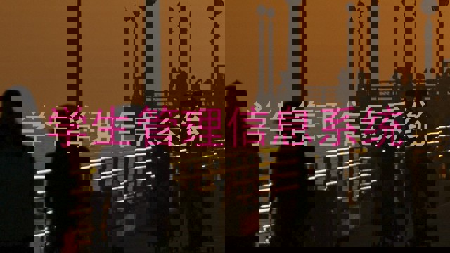学生管理信息系统