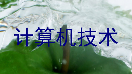 计算机技术