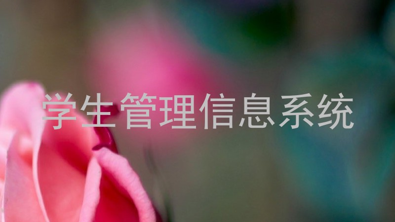 学生管理信息系统