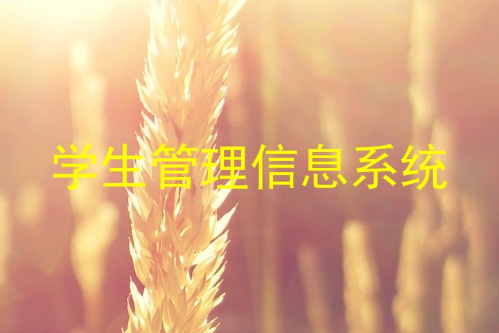 学生管理信息系统