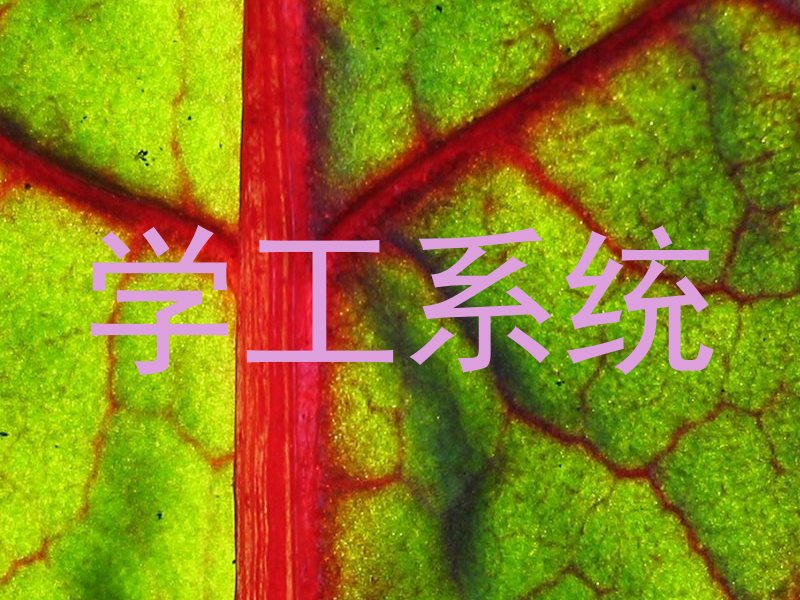 学工系统