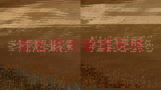 学生信息管理系统