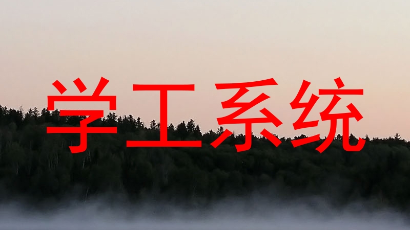 学工系统