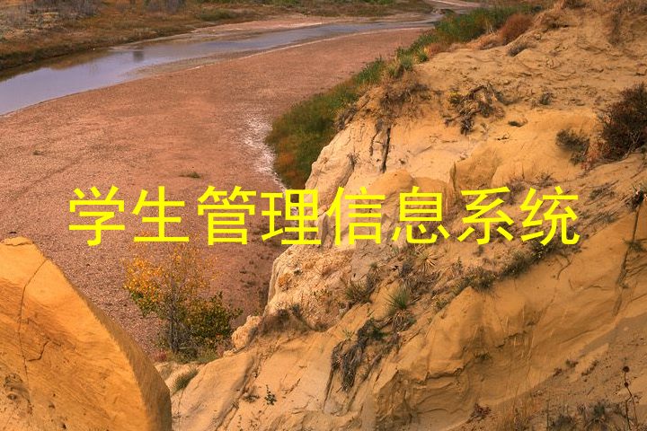学生管理信息系统