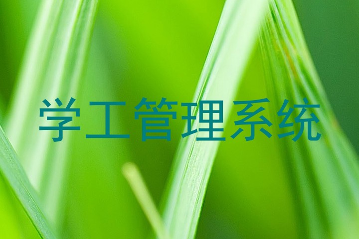 学工管理系统