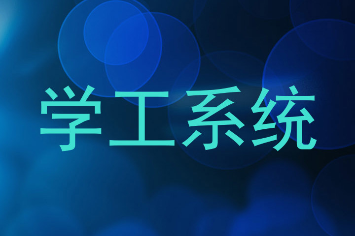 学工系统