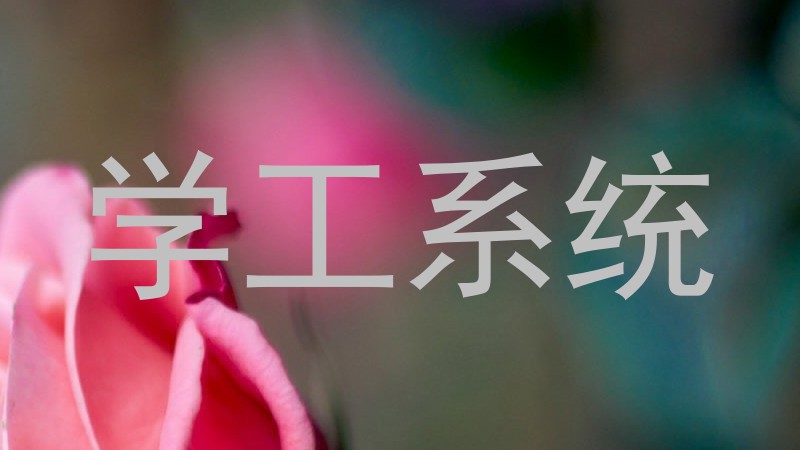 学工系统