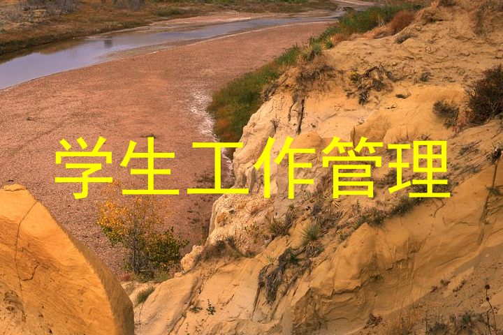 学生工作管理