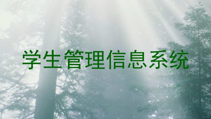 学生管理信息系统