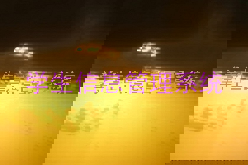 学生信息管理系统