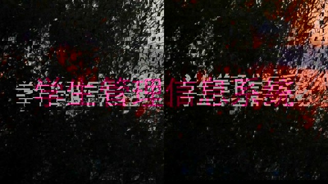 学生管理信息系统